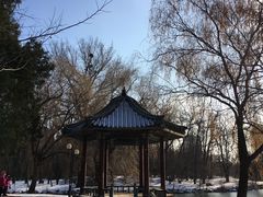 -二一九公园