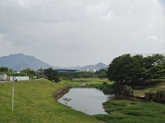 -坪山湿地公园