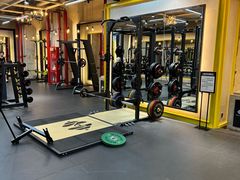 -健身专家Wellness Experts