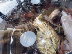 -大锅强·蒸海鲜青岛菜(吾悦广场店)