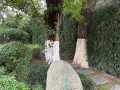 -八大山人梅湖景区