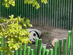 -沈阳森林动物园
