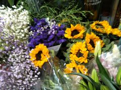 -万卉源鲜花店(百尚生活广场店)