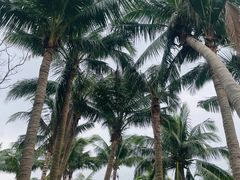 -白沙门生态公园