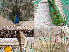 -水上乐园·欢乐世界