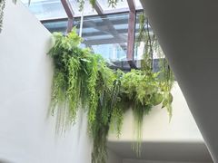 -大逸传奇·足道SPA(天美店)