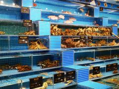 -神洲四海大酒楼(王府井澳门中心店)
