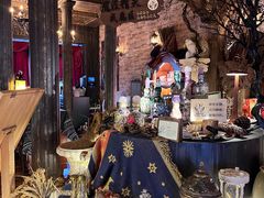 -雪灵魔法世界SHELLY’S TAROT(大良桂畔里店)