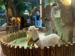 -宝燕乐园(闵行旗舰店)