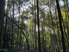 -凤栖山