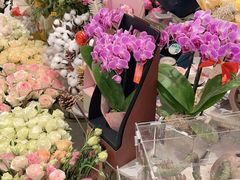 -花邻FloweringLife花艺气球派对(武康大楼店)
