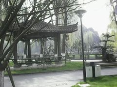 -温江公园