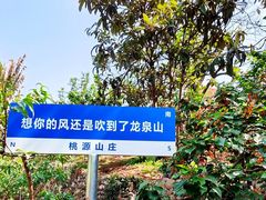 -桃源山庄·水蜜桃采摘·柴火鸡·烧烤团建(龙泉山店)
