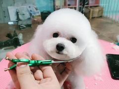 -宠匠·爱宠堡 PET CASTLE