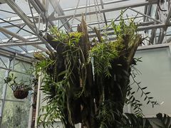 -国家植物园南园