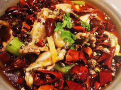 石锅牛蛙-小资太太餐厅(南岗区店)