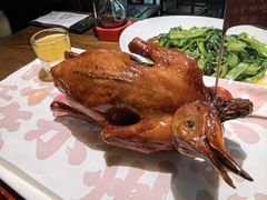 -大鸽饭(岗顶店)