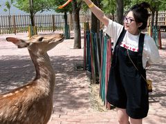 -水上乐园·欢乐世界