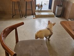 -小意思咖啡店(草桥店)