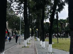 -四川大学(望江校区)