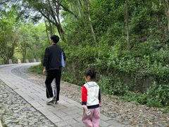 -紫金山天文台