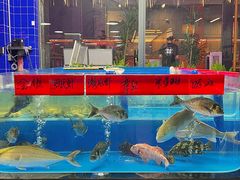 -明本湛江鸡•海鲜小厨(陈家祠店)