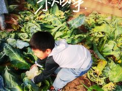 -甜心庄园·甜心草莓采摘园(西青中北店)