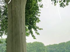 -河南省黄河迎宾馆