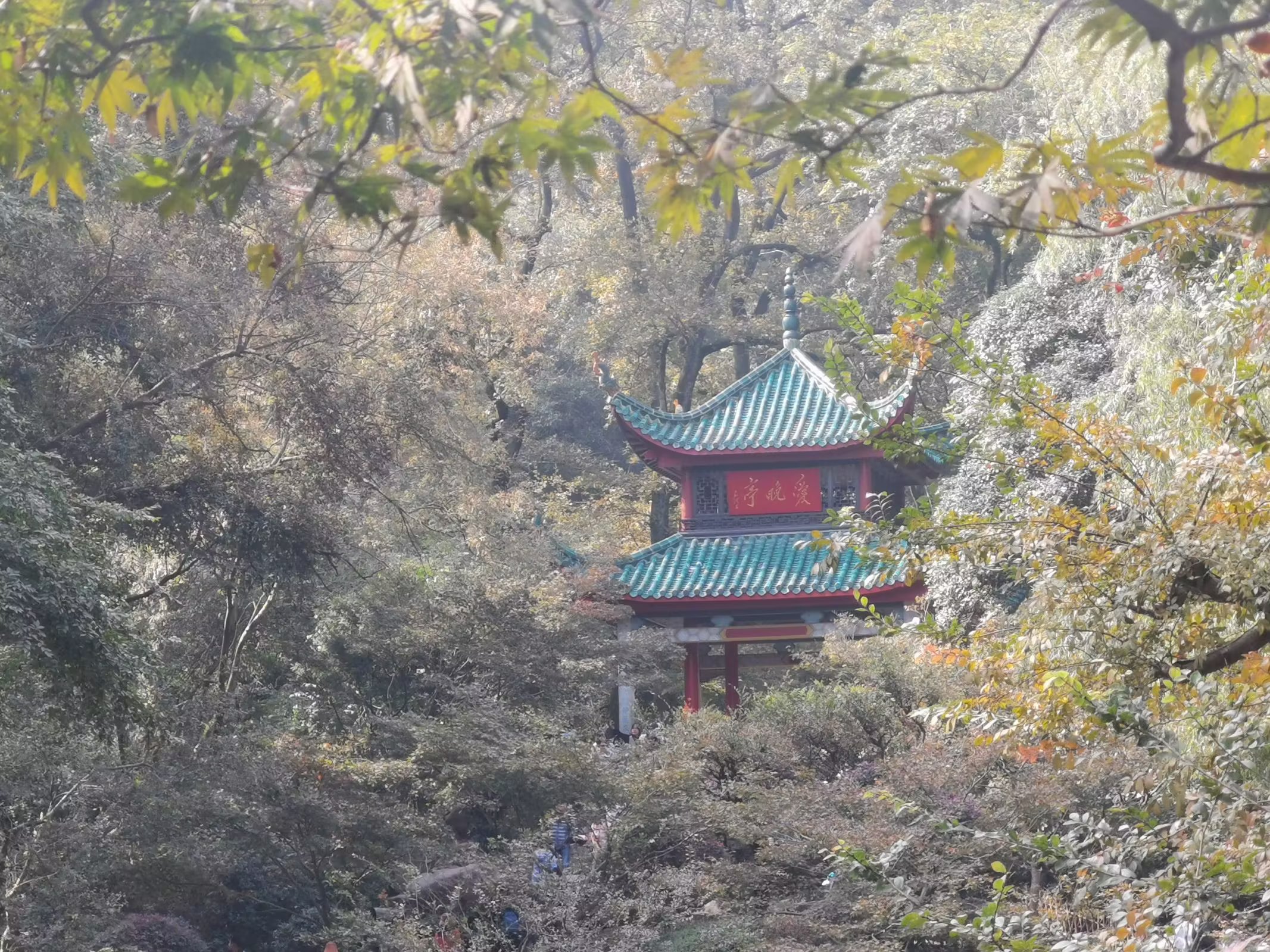 岳麓山风景 景色图片