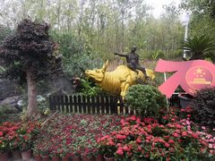 -合肥滨湖国家森林公园