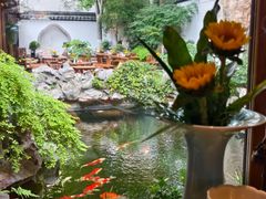 -鲤院·新中式美学·庭院餐厅(夫子庙店)