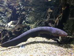 -华夏文旅西安度假区