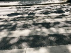 -井冈山风景名胜区