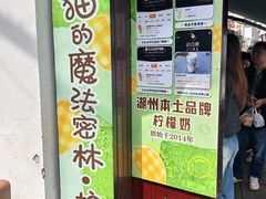 -猫的魔法密林(衣裳街店)