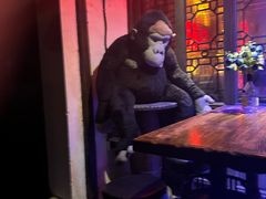 -周庄红庭演艺酒吧