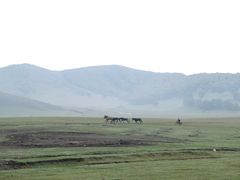 -御道口草原森林风景区