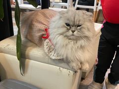 -小时光咖啡馆(北锣鼓巷店)