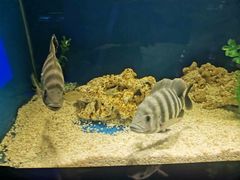 -青岛海底世界-水族馆