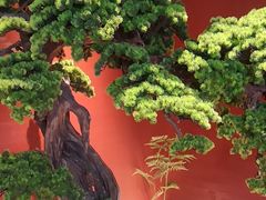 -阿伟海鲜楼·福建菜(延寿店)