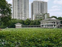 -荔湾湖公园