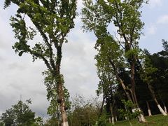 -东莞植物园