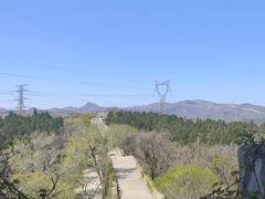 -原山国家森林公园