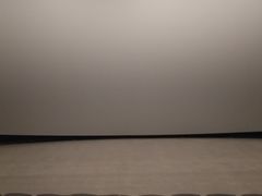 放映厅-博纳国际影城(温州5050IMAX店)