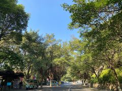 -广州市白云山风景名胜区