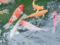 -三里河公园