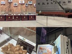 -中国西峡恐龙遗迹园