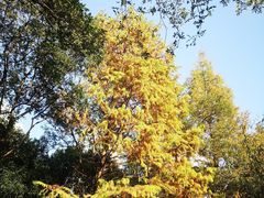 -苏州河梦清园环保主题公园