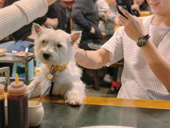 -化龙桥九宫格火锅(清水河店)