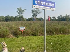 -同里国家湿地公园