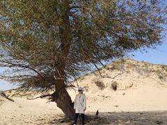 -库伦旗银沙湾旅游景区